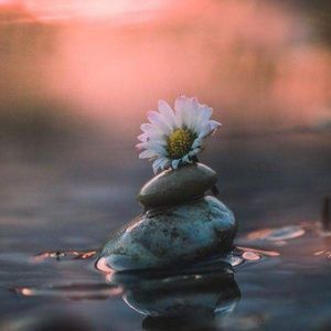 Meet your Posher, Ellen